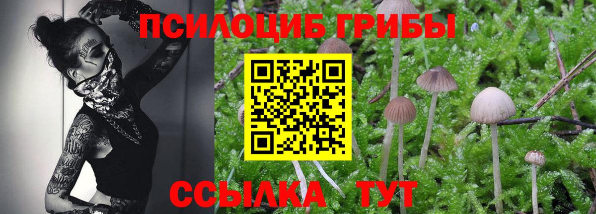 Псилоцибиновые грибы Magic Shrooms Грязи